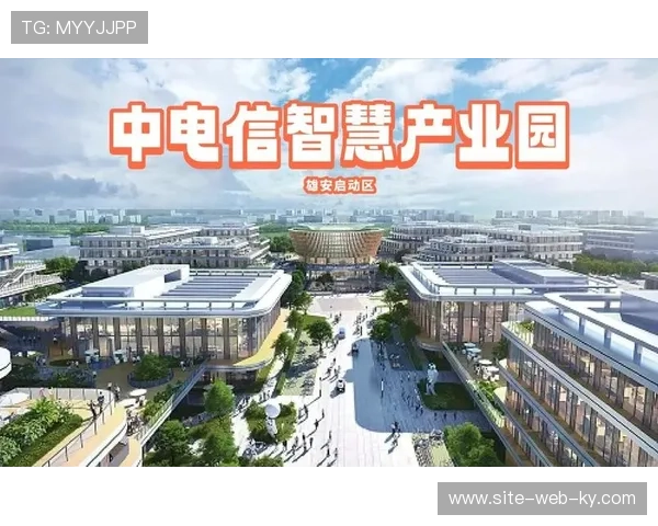 由单一地标项目迈向区域馆群协同 展现了规模化经营优势